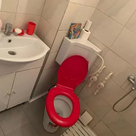 Apartamento Garsoniera Capsunica
